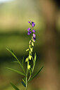 BUITEN BEELD Foto: 442026