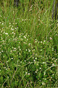 BUITEN BEELD Foto: 442027