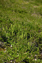 BUITEN BEELD Foto: 442028