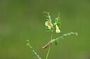 BUITEN BEELD Foto: 442030