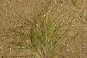 BUITEN BEELD Foto: 442033