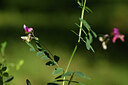 BUITEN BEELD Foto: 442034