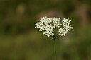 BUITEN BEELD Foto: 442035