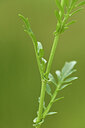 BUITEN BEELD Foto: 442040
