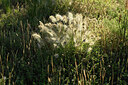 BUITEN BEELD Foto: 442042