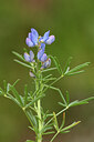 BUITEN BEELD Foto: 442043