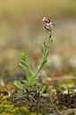 BUITEN BEELD Foto: 442044