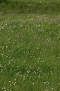 BUITEN BEELD Foto: 442047