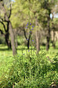 BUITEN BEELD Foto: 442050