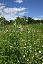 BUITEN BEELD Foto: 442051