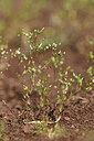 BUITEN BEELD Foto: 442053