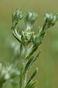 BUITEN BEELD Foto: 442054