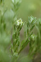 BUITEN BEELD Foto: 442055