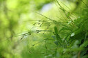 BUITEN BEELD Foto: 442056