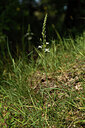 BUITEN BEELD Foto: 442057