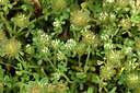 BUITEN BEELD Foto: 442058