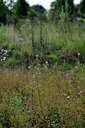 BUITEN BEELD Foto: 442060