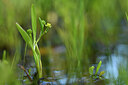 BUITEN BEELD Foto: 442061
