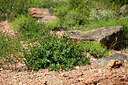 BUITEN BEELD Foto: 442063