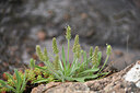 BUITEN BEELD Foto: 442064
