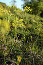 BUITEN BEELD Foto: 442076