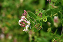 BUITEN BEELD Foto: 442084