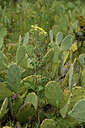 BUITEN BEELD Foto: 442086