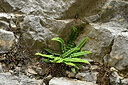 BUITEN BEELD Foto: 442087