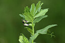 BUITEN BEELD Foto: 442089