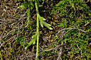 BUITEN BEELD Foto: 442095