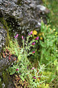 BUITEN BEELD Foto: 442103