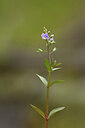 BUITEN BEELD Foto: 442106