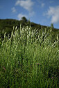 BUITEN BEELD Foto: 442108