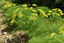 BUITEN BEELD Foto: 442114