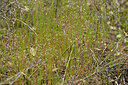 BUITEN BEELD Foto: 442115