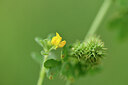BUITEN BEELD Foto: 442117