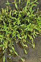 BUITEN BEELD Foto: 442123
