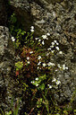 BUITEN BEELD Foto: 442127