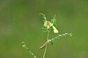 BUITEN BEELD Foto: 442128