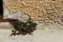 BUITEN BEELD Foto: 442131