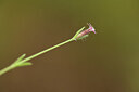 BUITEN BEELD Foto: 442133