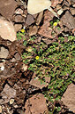 BUITEN BEELD Foto: 442137