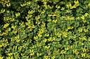 BUITEN BEELD Foto: 442140