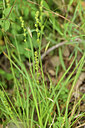 BUITEN BEELD Foto: 442147