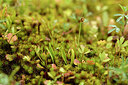 BUITEN BEELD Foto: 442148