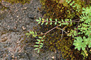 BUITEN BEELD Foto: 442149