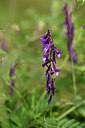 BUITEN BEELD Foto: 442150
