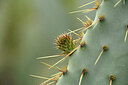 BUITEN BEELD Foto: 442151