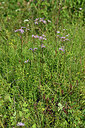 BUITEN BEELD Foto: 442153