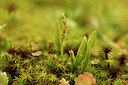 BUITEN BEELD Foto: 442155